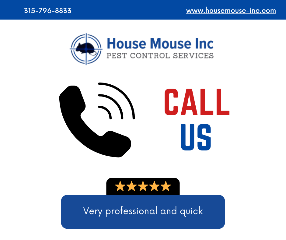 house-mouse-inc-contact