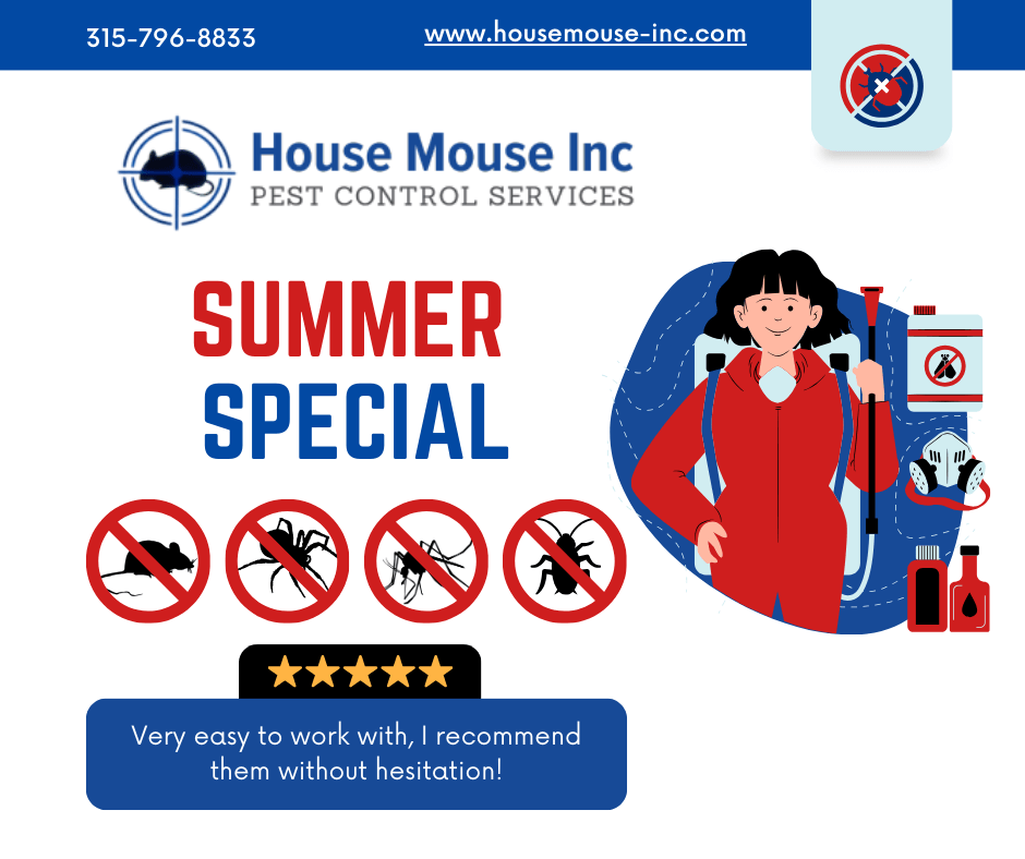 house-mouse-inc-summer-special